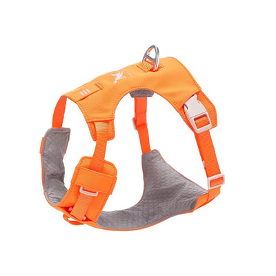 Ensemble Harnais et Laisse Assortis Anti-Traction Chien