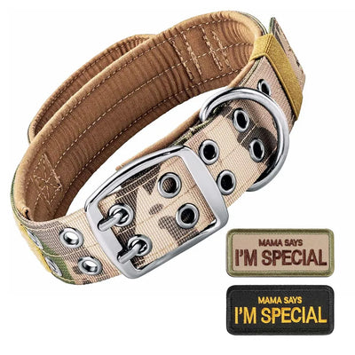 Collier Tactique Militaire Poignée Gros Chien
