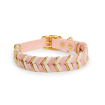 Collier Tressé Coloré Fait Main pour Grand Chien