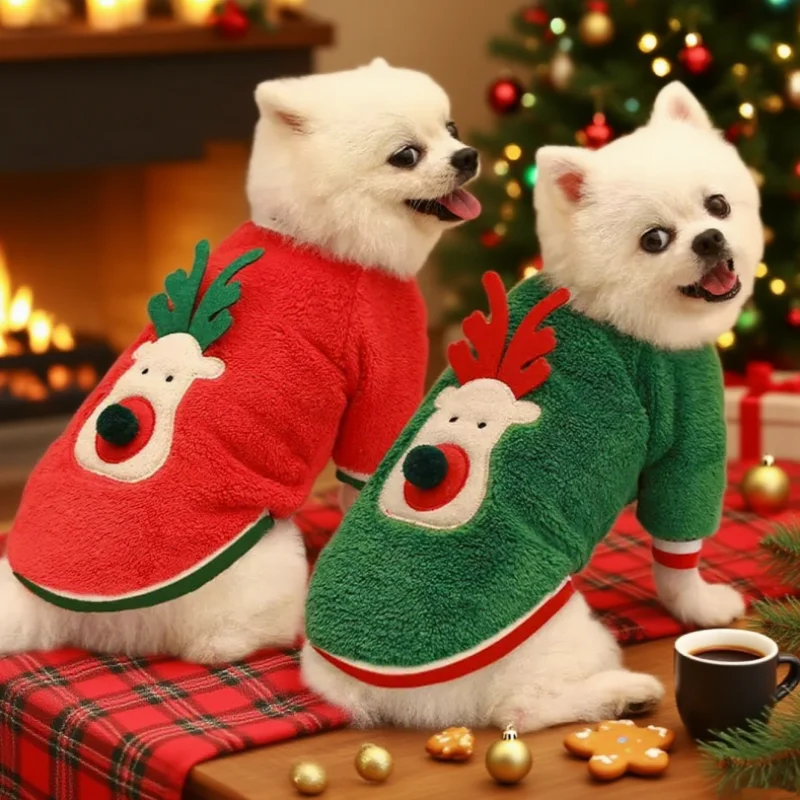 Pull de Noël Renne Chien Petit et Moyen Format
