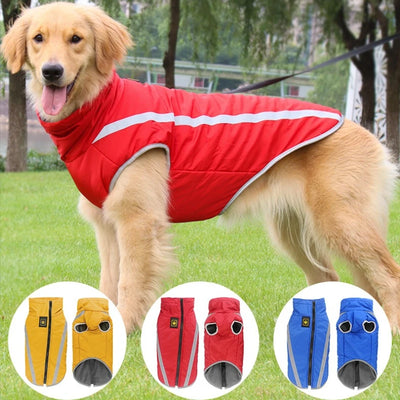 Manteau Chien Bandes Réfléchissantes Doublure Polaire Labrador
