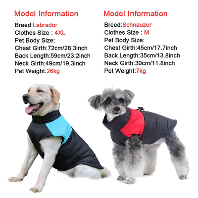 Doudoune Imperméable Chien Zippée Double Anneau en D