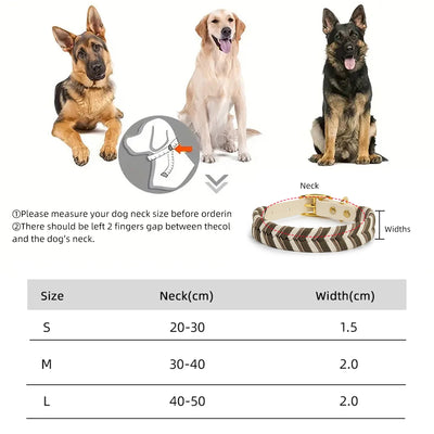 Collier Tressé Coloré Fait Main pour Grand Chien