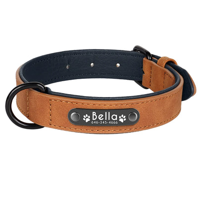 Collier Cuir Personnalisé Plaque Gravée Grand Chien