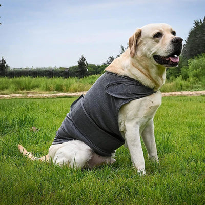 Vêtement Apaisant Anti-Anxiété Respirant Chien Orage 40 kg