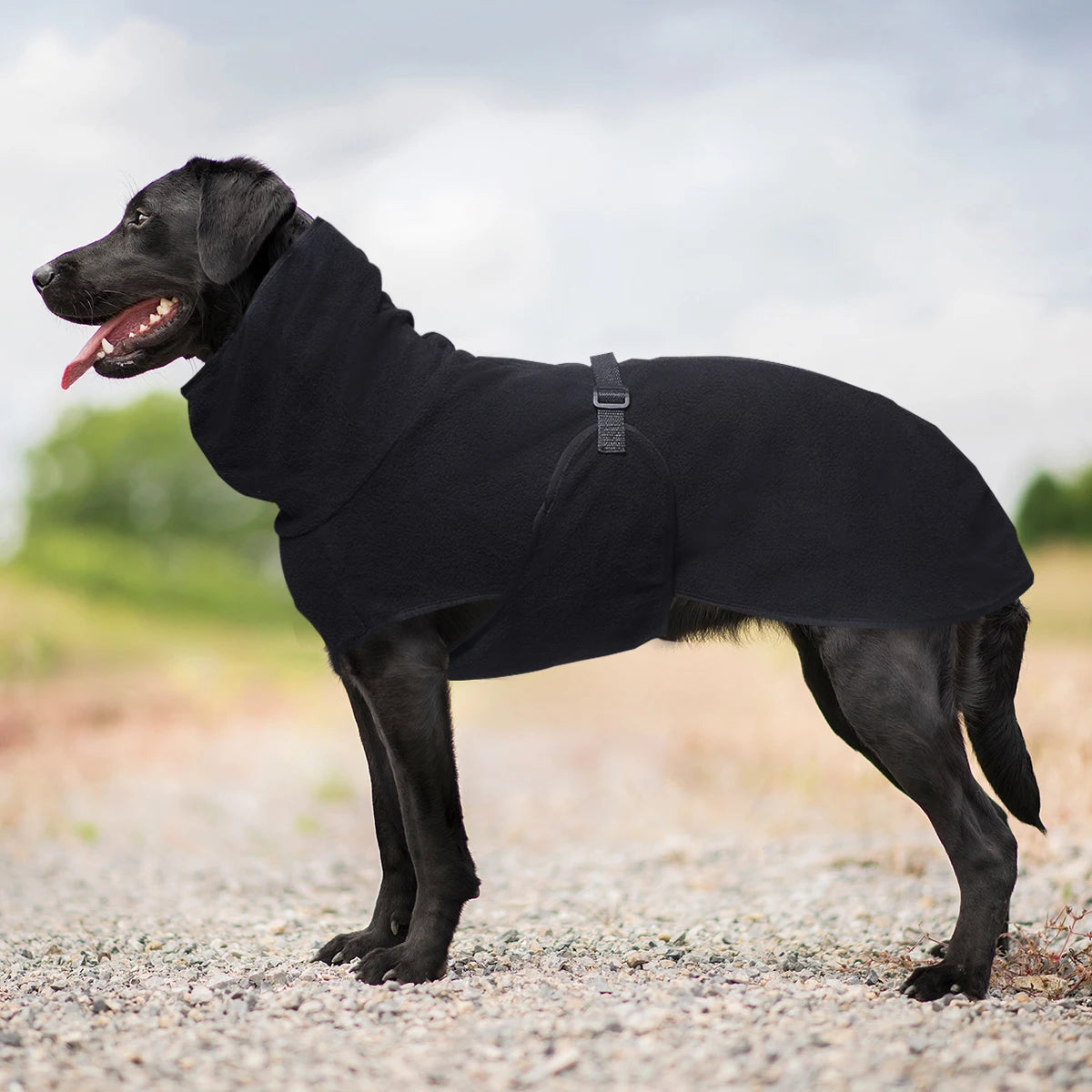 Manteau Thermique Chien Col Montant Sangle Réglable