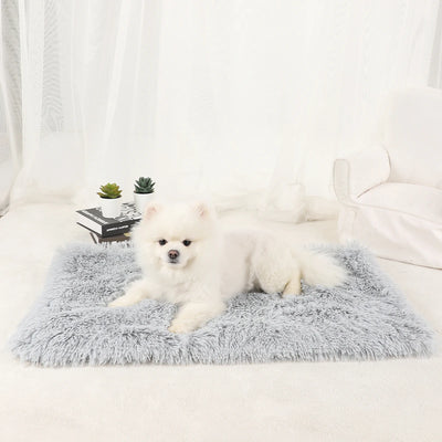 Tapis Moelleux Chien Ultra Doux Grand Format