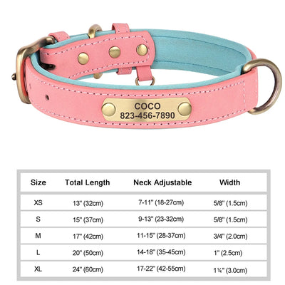 Collier Cuir Personnalisé Gravure Gros Chien