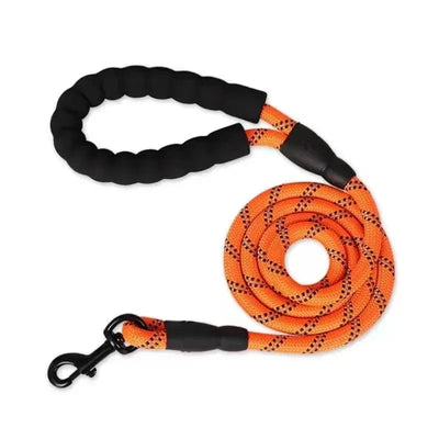 https://cdn.shopify.com/s/files/1/0489/2898/1148/files/Sed66f4bb40924bc88987899eb8f33083l.webp?v=1742978597