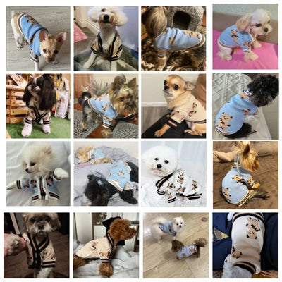Pull Tricot Rayé pour Chien Col Montant