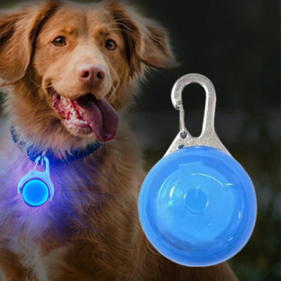 Pendentif Lumineux LED pour Collier de Chien