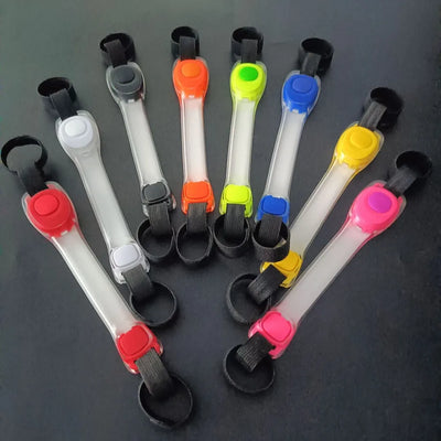 Collier Lumineux Étanche Anti-Perte pour Chien