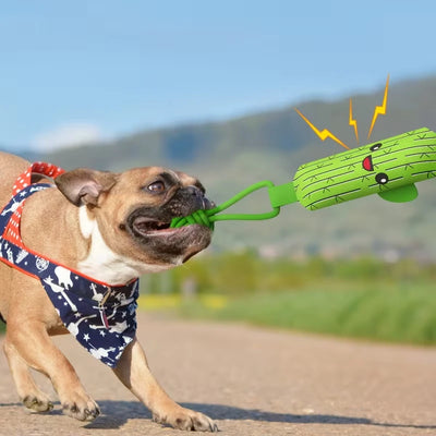 Jouet de Traction Élastique pour Chien Cactus 82 cm