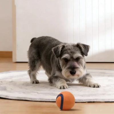 Jouet Indestructible Balle Rebondissante à Mâcher 5 ou 6 cm