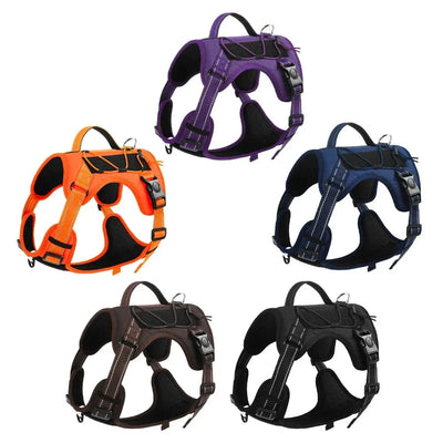 https://cdn.shopify.com/s/files/1/0489/2898/1148/files/Seee864b8476a4b4cb7b49c3058af00faP.webp?v=1742985579