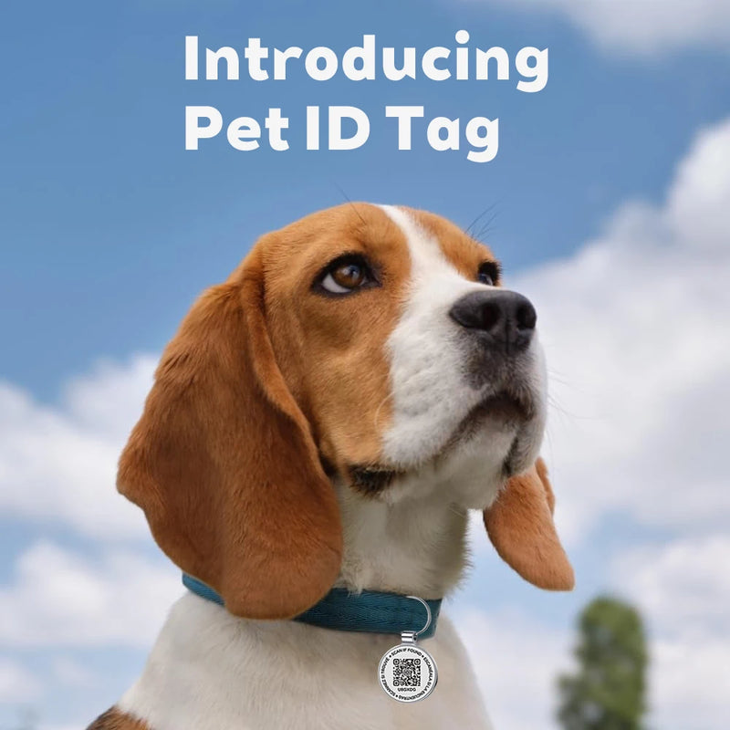 Médaille QR Code Chien en Métal Sans Abonnement