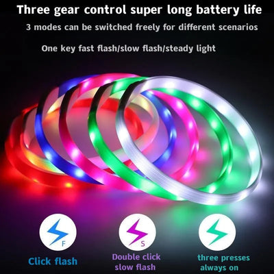 Collier LED Étanche Grand Chien