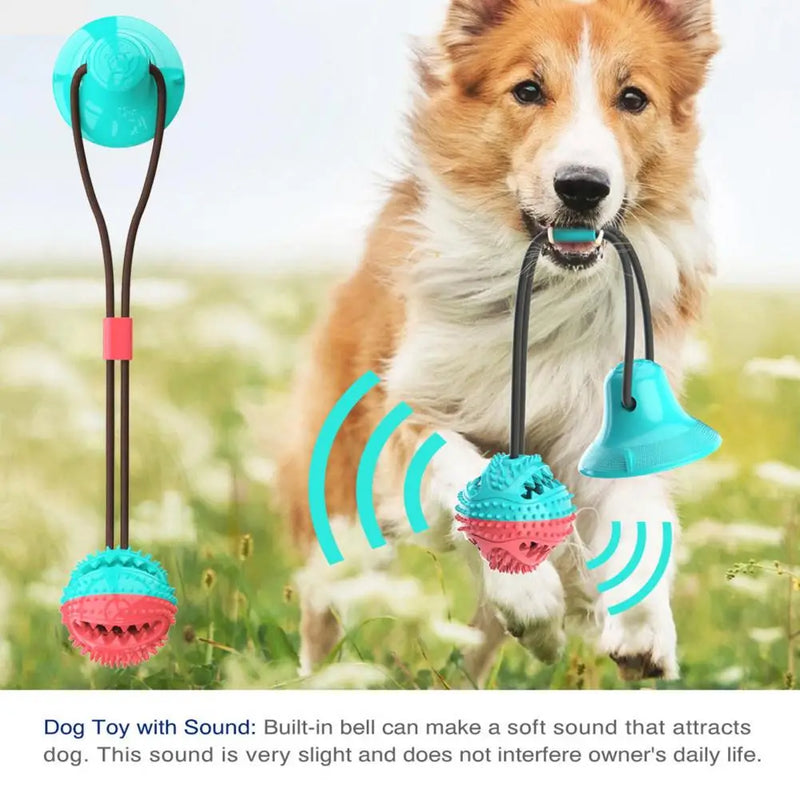 Jouet Mâcher Distributeur Ventouse Gros Chien