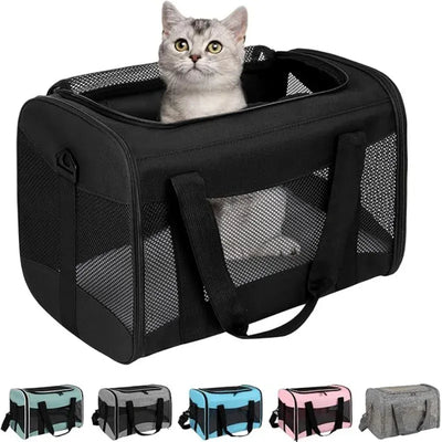 https://cdn.shopify.com/s/files/1/0489/2898/1148/files/Sefc22419b544468d8bf52d420ae4b010l.webp?v=1772524841