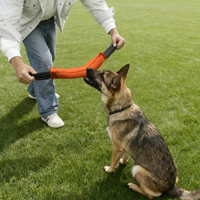 Jouet Boudin de Traction pour Chien 30 cm Poignées