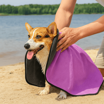 https://cdn.shopify.com/s/files/1/0763/9767/4819/files/Serviette_hyper_absorbante_pour_chien.png?v=1752158147