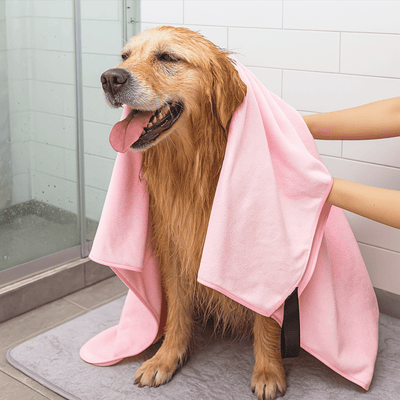 https://cdn.shopify.com/s/files/1/0763/9767/4819/files/Serviette_microfibre_pour_chien.png?v=1752157074