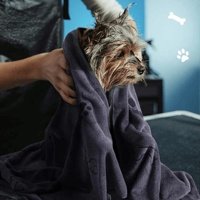 https://cdn.shopify.com/s/files/1/0763/9767/4819/files/Serviette_pour_patte_chien_yorkshire.png?v=1752159073