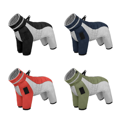 Manteau Hiver Grande Taille Chien Bordure Fourrure