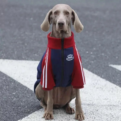 Manteau Polaire Zippé Chaud pour Grand Chien