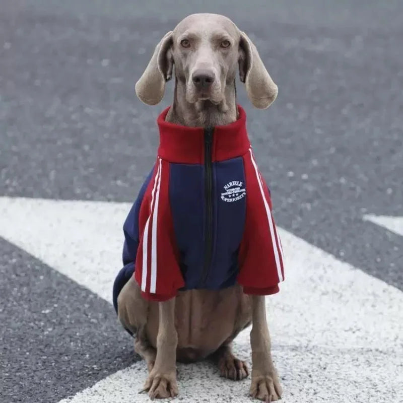 Manteau Polaire Zippé Chaud pour Grand Chien