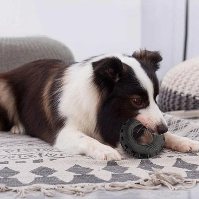 Jouet Pneu Indestructible Molaire Gros Chien