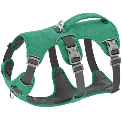 https://cdn.shopify.com/s/files/1/0489/2898/1148/files/Sf06ebe6e1de94d46b5da7807a5a16984c.webp?v=1742913747