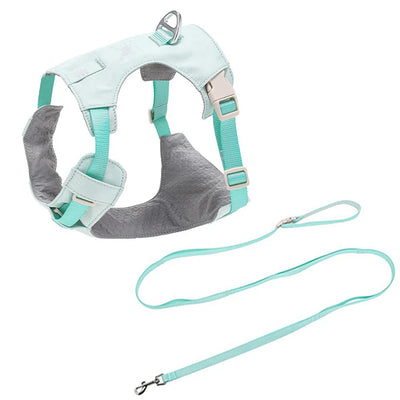 Ensemble Harnais et Laisse Assortis Anti-Traction Chien