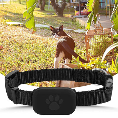 https://cdn.shopify.com/s/files/1/0489/2898/1148/files/Sf0e2d9c87429479daec5ced333db25bcN.webp?v=1755344095