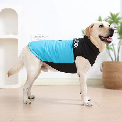 Manteau Imperméable Rembourré Grand Chien Golden Retriever