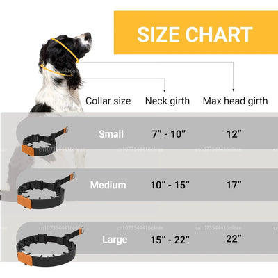 Collier à Dents Anti-Traction Noir Embouts Silicone Grand Chien