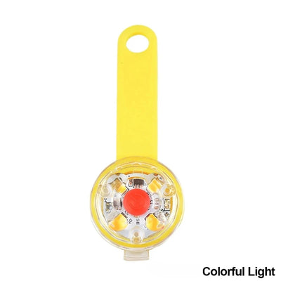 Collier LED Rechargeable Multicolore pour Chien