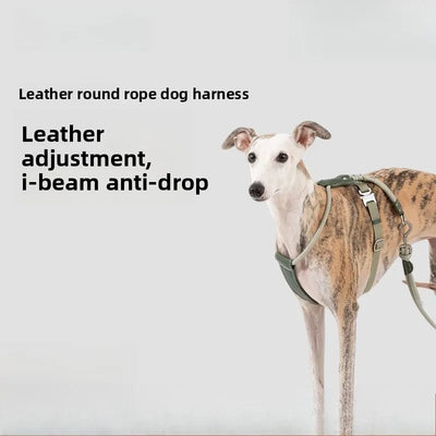 Harnais Corde Ronde Anti-Évasion Réglable pour Lévrier et Chien Moyen