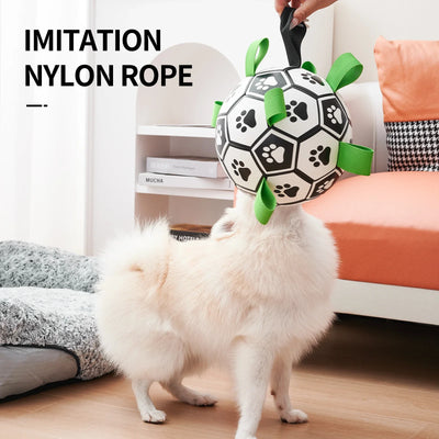 Jouet Ballon de Football à Sangles pour Chien Moyen et Grand