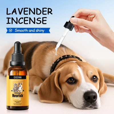 Huile Soin Pelage Chien Orange Douce et Jojoba 30 ml