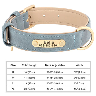 Medaille Collier Cuir Gravee Personnalise Chien