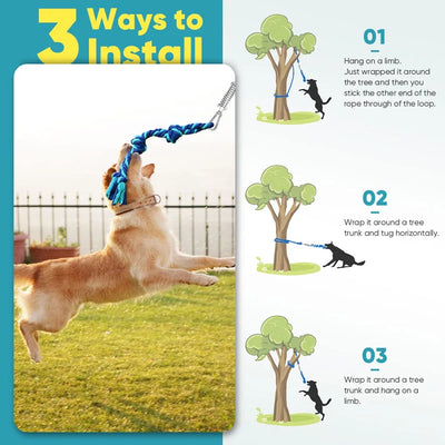 Spring Pole Chien Ressort Inox Corde 5 m ou 10 m