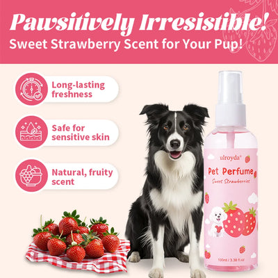 Parfum pour Chien Fraise Douce Longue Tenue 100 ml