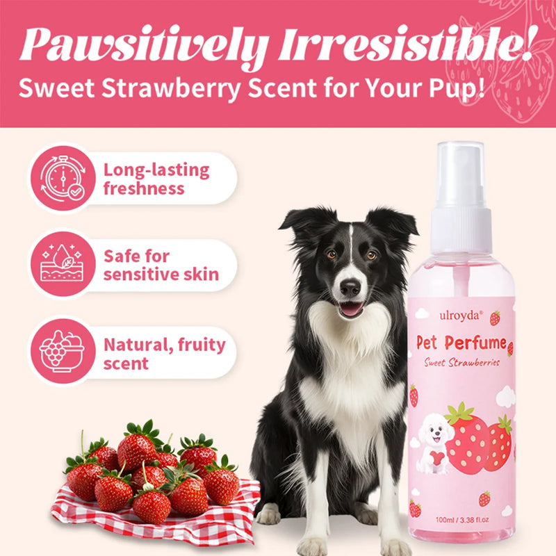 Parfum pour Chien Fraise Douce Longue Tenue 100 ml