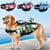 Harnais flottant pour chien