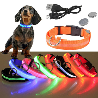 Collier Lumineux LED USB pour Chien