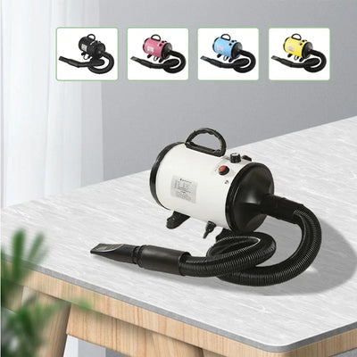 Souffleur de Toilettage Sèche-Poil 100 m/s pour Grand Chien