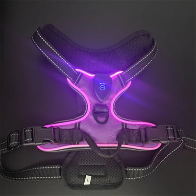 Harnais Lumineux LED Rechargeable Grand Chien