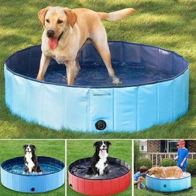 Piscine pour Chien Baignoire Pliable PVC 80 cm