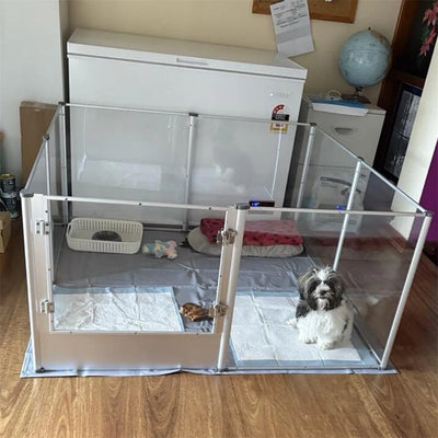 Enclos pour Chien Acrylique Transparent avec Tapis Lavable
